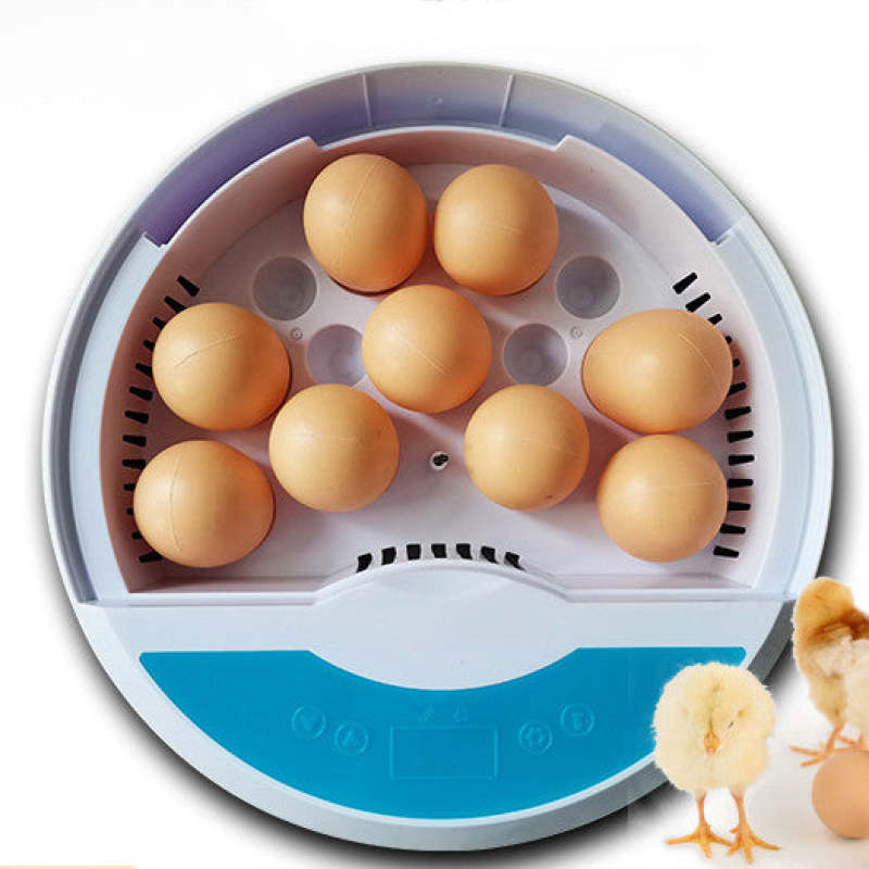 Incubator Automatic Temperature Control Intelligent Poultry Egg Incubator - 9 Eggs - Oncros