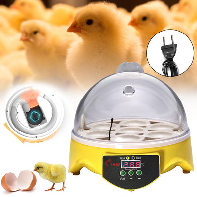 Incubator Automatic Temperature Control Intelligent Poultry Egg Incubator - Oncros