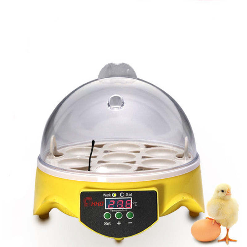Incubator Automatic Temperature Control Intelligent Poultry Egg Incubator - 7 Eggs - Oncros